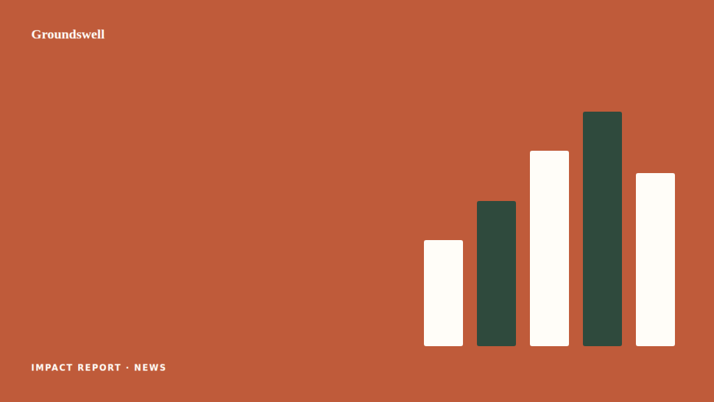 06-year-in-numbers